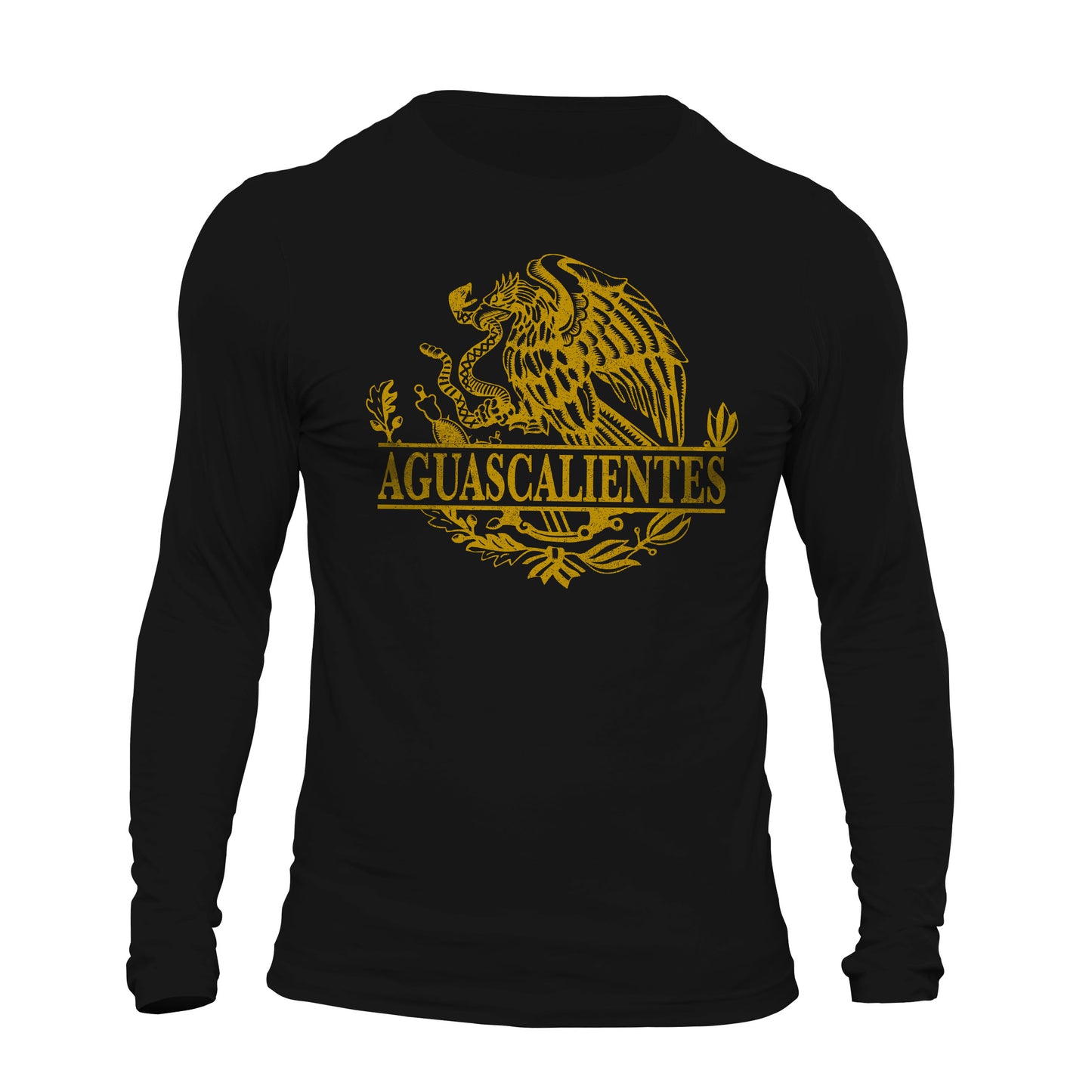 Aguascalientes Mexico Eagle Emblem Mexican Flag Long Sleeve T-Shirt