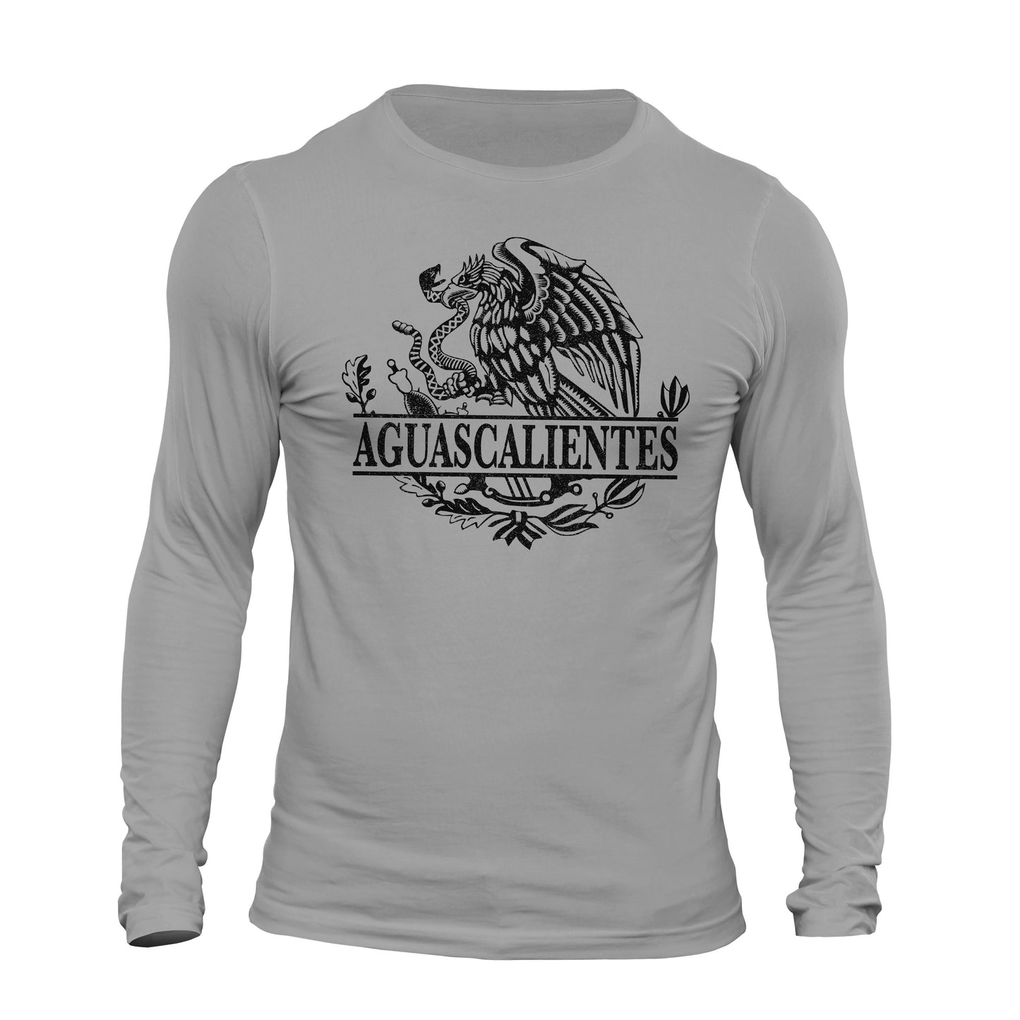 Aguascalientes Mexico Eagle Emblem Mexican Flag Long Sleeve T-Shirt