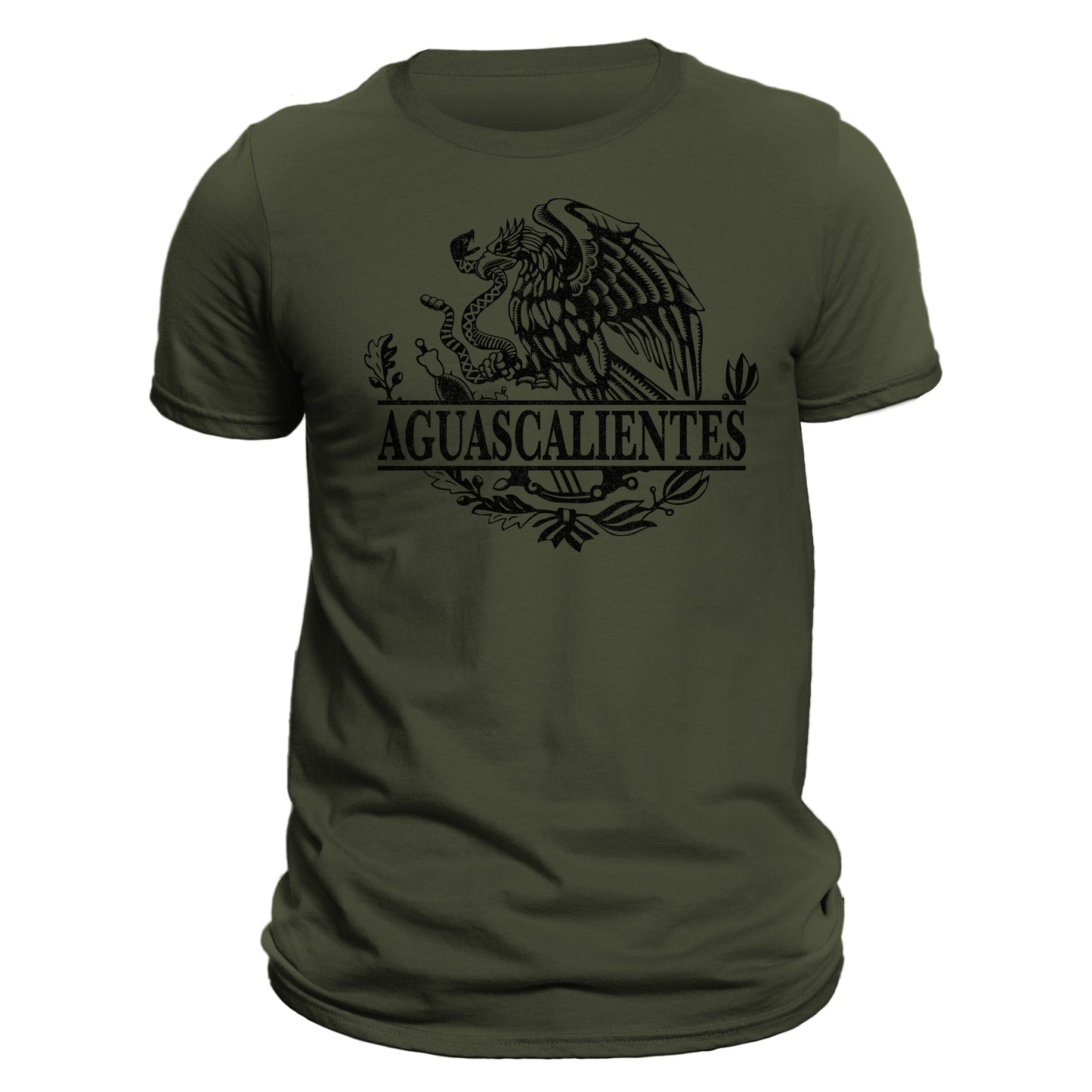 Aguascalientes Mexico Eagle Emblem Mexican Flag T-Shirt