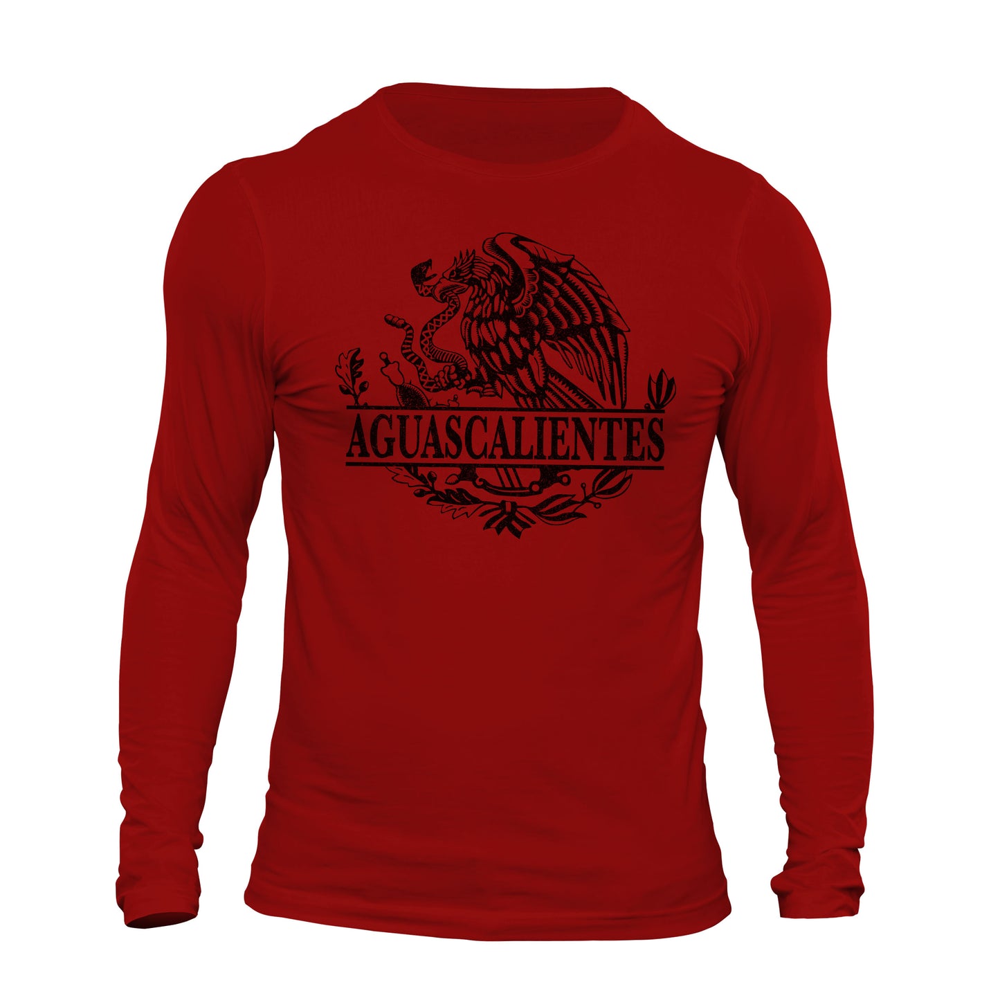 Aguascalientes Mexico Eagle Emblem Mexican Flag Long Sleeve T-Shirt